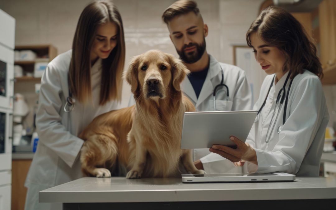 Clínicas mascotas Google Maps: impulsa tu visibilidad ya