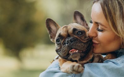 Cómo posicionar tu veterinaria en Google y aumentar tus clientes