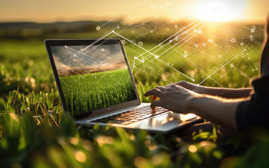 Rediseño Web tienda agrícola para crecer en el mercado digital