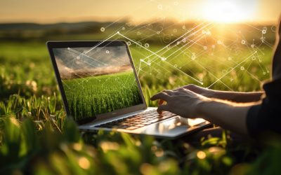 Rediseño Web tienda agrícola para crecer en el mercado digital