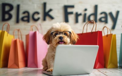 Ecommerce ropa mascotas Colombia: impulsa tu marca digital