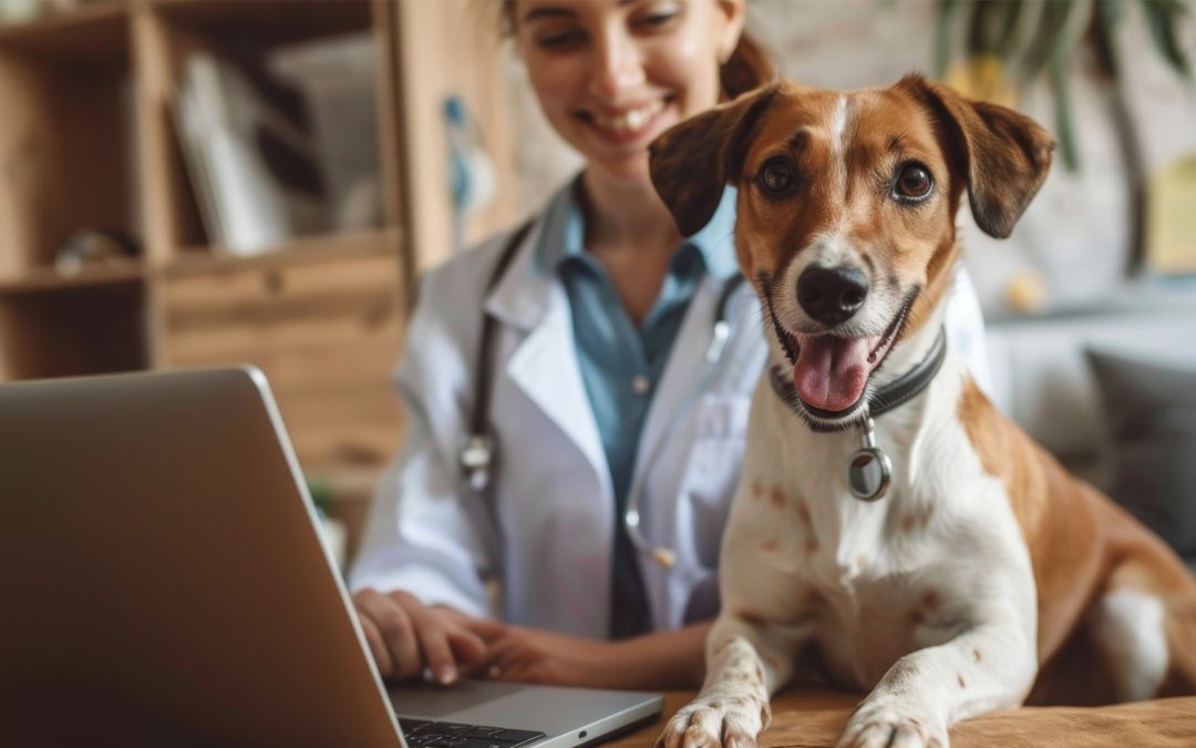 Cómo impulsar una clínica veterinaria con una página web profesional